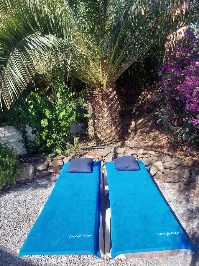 Holiday home Cortijo Kajo Villa Torrox Spain